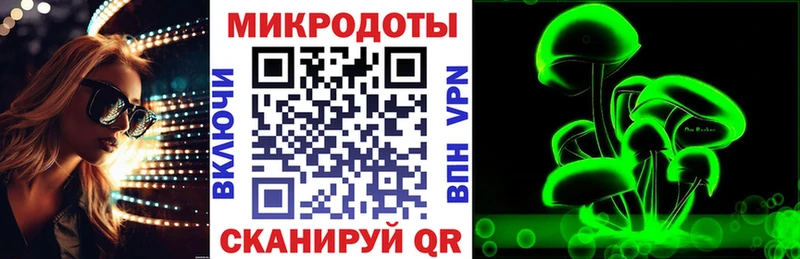 Галлюциногенные грибы Psilocybe  Купить закладки  Фокино 