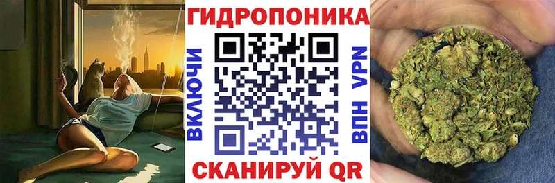Купить закладки  Фокино  Каннабис гибрид 